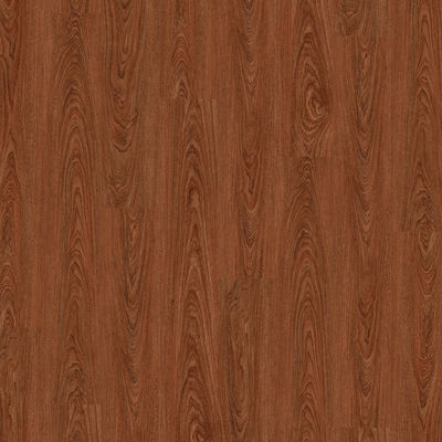 Moderne van de Bevloeringsspc van Stijl Binnenspc van de het Bladbevloering het Lawaaiafschaffing