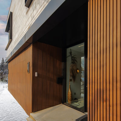 Modern Comité van de Traliewerk Binnenlands WPC Muur 195mmx28mm verrottingsweerstand