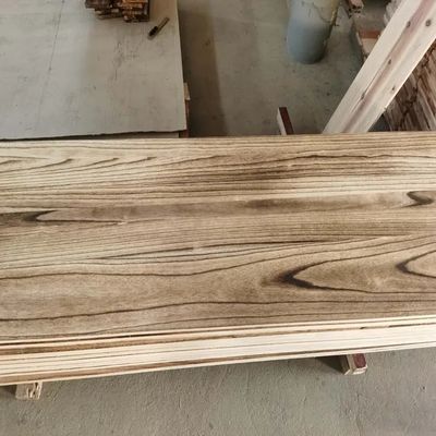 China Vervaardiging Hout van koolzuurhoudend hout dat bestand is tegen vocht Paulownia