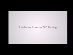 de vinylbevloering van SPC