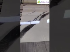 Voltooide UV-marmeren plaat